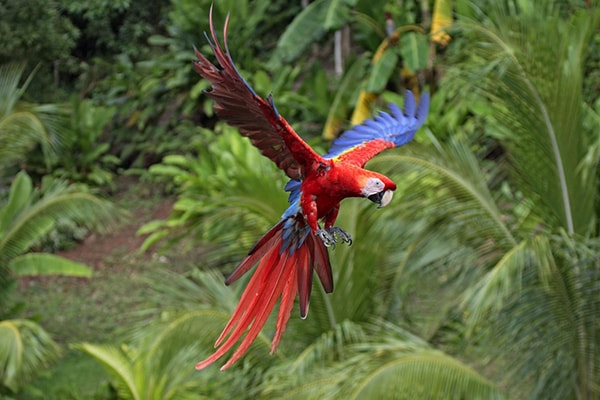 Zoo and Wildlife Farms